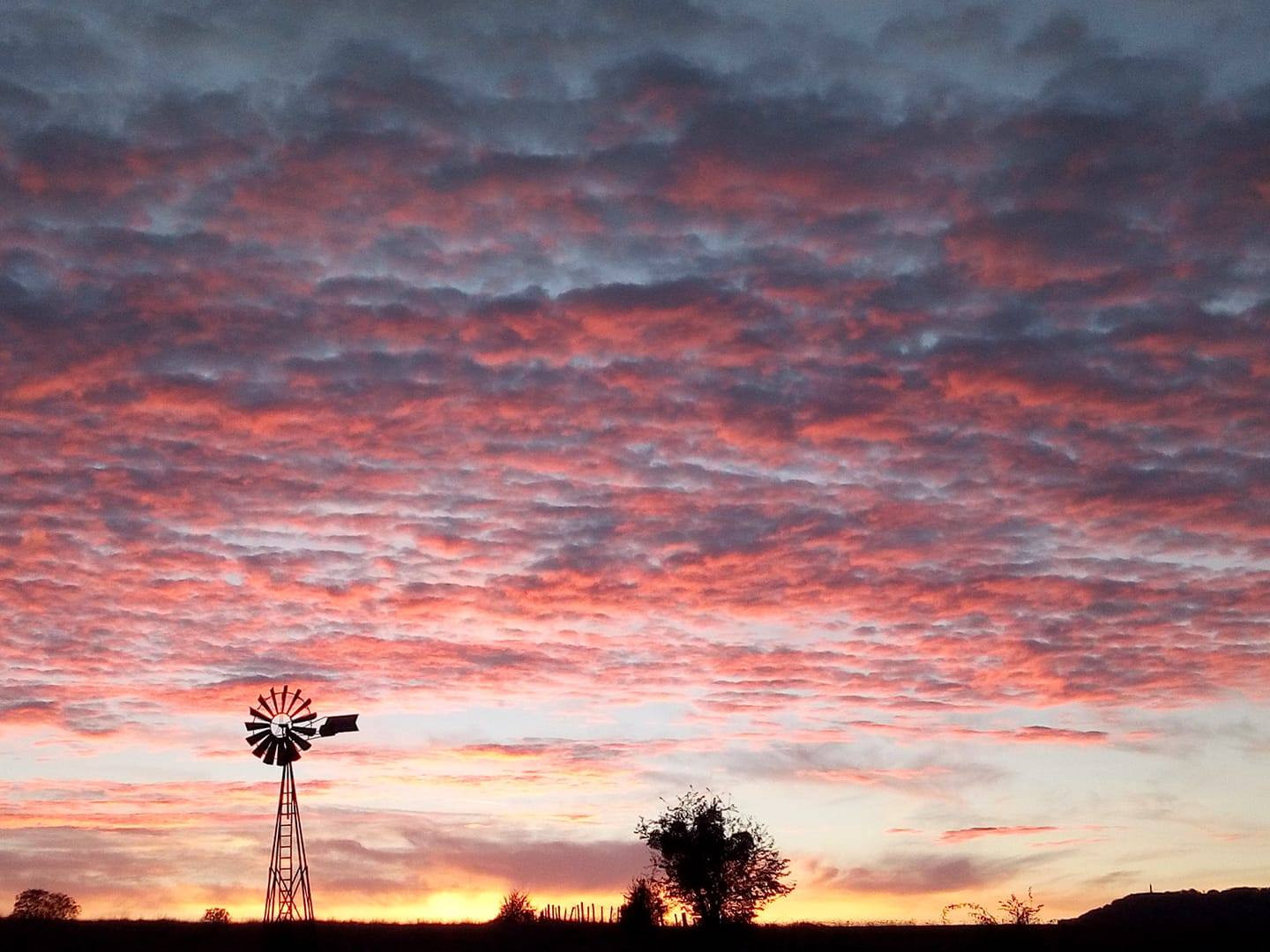 Coucher de soleil avec la vue sur les terrains de la ferme.